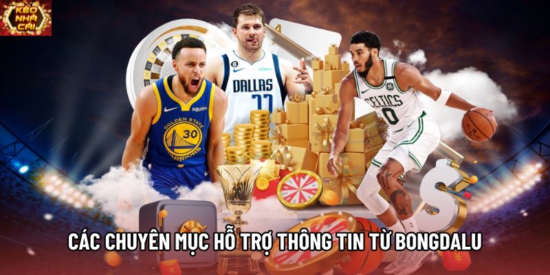 Các chuyên mục hỗ trợ cập nhật thông tin từ Bongdalu Các chuyên mục hỗ trợ cập nhật thông tin từ Bongdalu