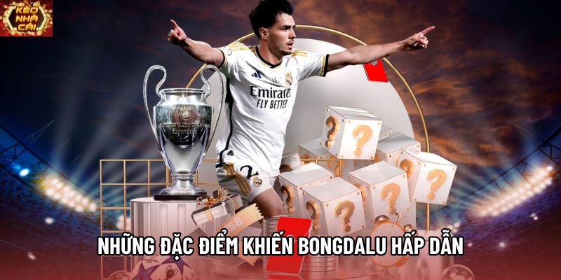 Những đặc điểm khiến Bongdalu được giới điệu mộ bóng đá lựa chọn Những đặc điểm khiến Bongdalu được giới điệu mộ bóng đá lựa chọn