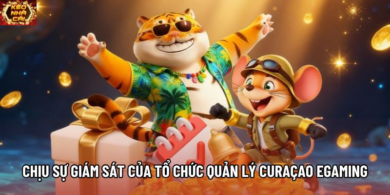 Chịu sự giám sát của tổ chức quản lý Curaçao eGaming