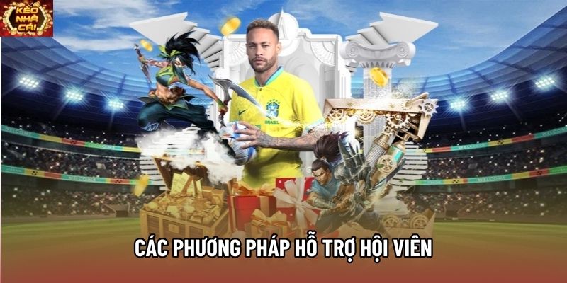 Các phương pháp hỗ trợ hội viên Các phương pháp hỗ trợ hội viên