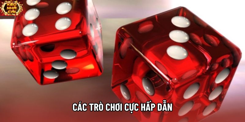 Các trò chơi cực hấp dẫn